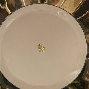 Origami Owl- Swarovski duck charm